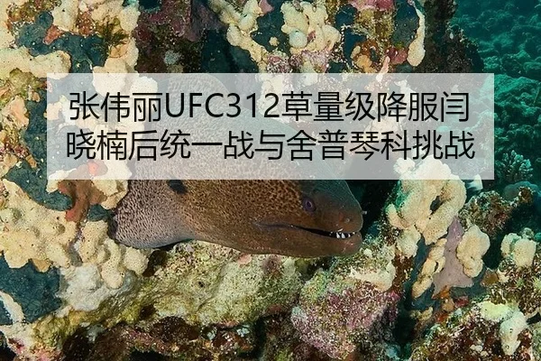 zhang-wei-li-cao-liang-ji-xiang-fu-yan-xiao-nan-hou-tong-yi-zhan-yu-she-pu-qin-ke-tiao-zhan-3-478.jpg